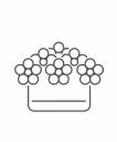 Box of flowers